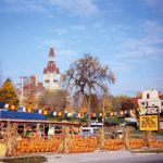 pumpkins at Meadowbrook