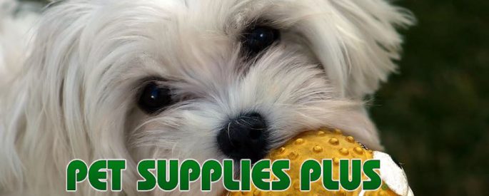 pet supplies plus blue bell