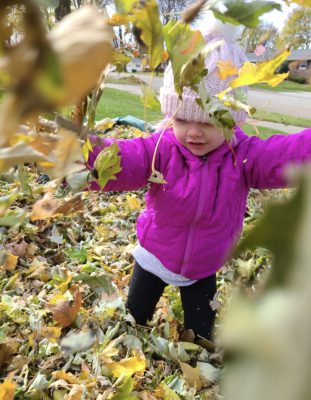 Leaves, rake