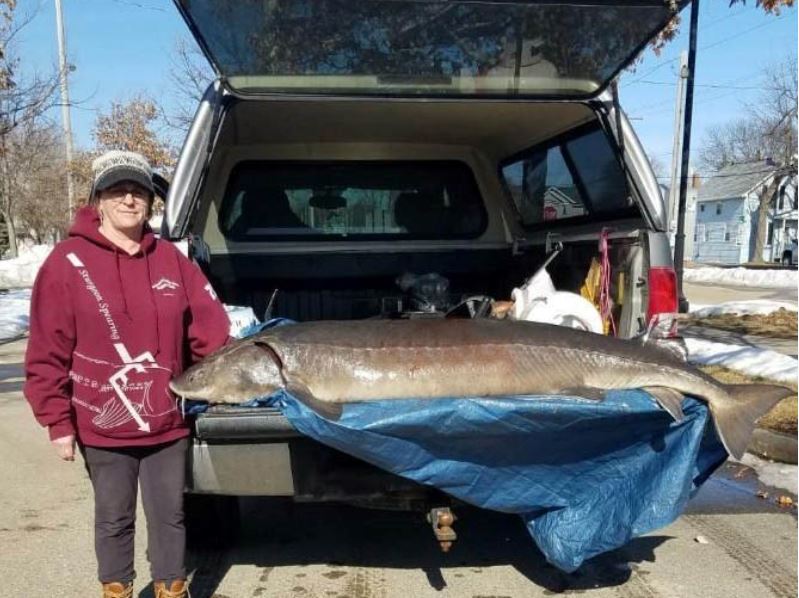 Final day sturgeon spearing in Fond du Lac By Wisconsin DNR