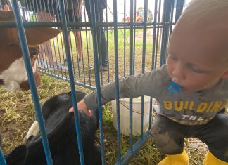 Breakfast on the Farm