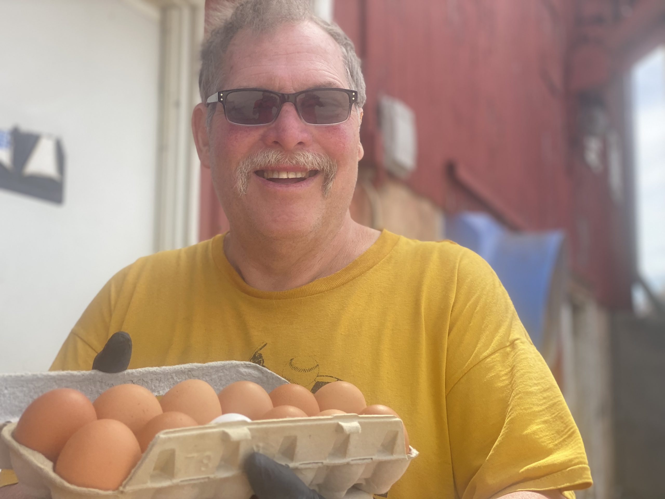 Support local farmers in Washington Co. WI Fresh eggs and beef