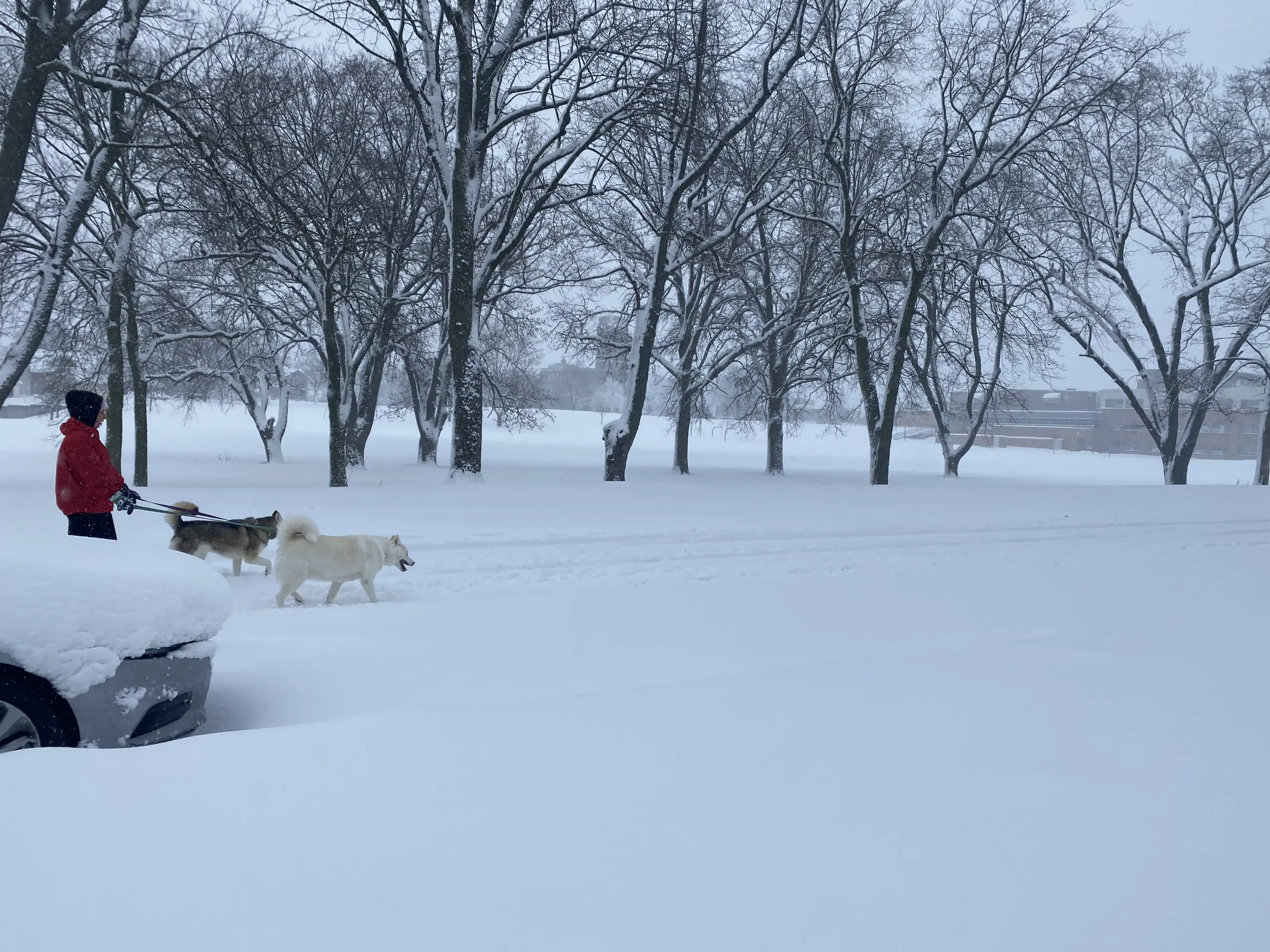 do you want to build a snowman - Bayside, WI